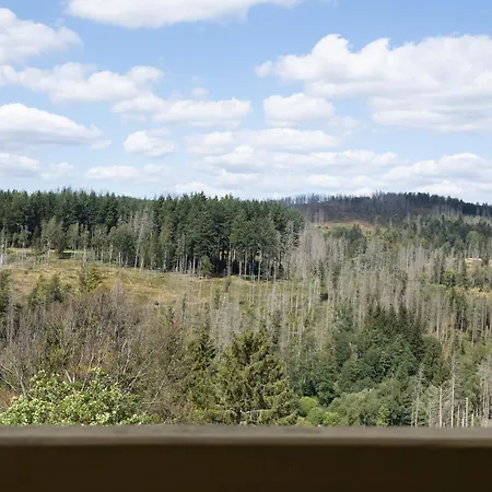 Morgenrot Lodge, Im Harz, Mit Schwimmbad Und Sauna 公寓